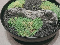 -宝燕壹号景观餐厅(龙盛国际商业广场店)