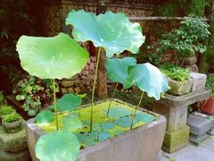 -临江宴餐厅·桐庐菜(富春江店)