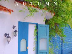 -金庭庄园酒店-停车场