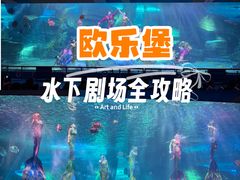 -泉城欧乐堡海洋极地世界