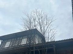 -武汉园博园(武汉自然博物馆)