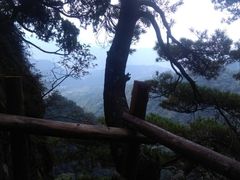 -王顺山国家森林公园