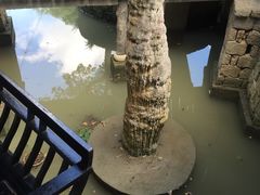 -韩湘水博园