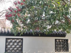-郑和公园