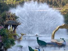 -西双版纳原始森林公园