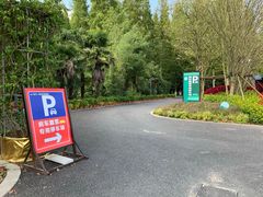 -东平国家森林公园