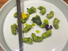 芥末青酱八爪鱼-CHIC1699远洋私厨