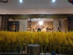 -昆虫窝子·特色云南菜(拓东路总店)