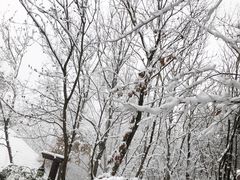 -天目湖涵田半山温泉