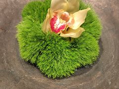 -子福慧(虹桥店)