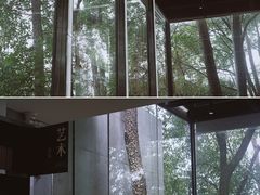-南山植物园