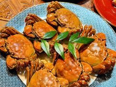-龙悦湾酒家·八阵鱼生·渔人码头店