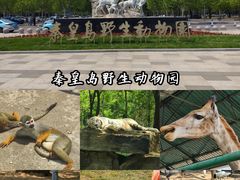 -秦皇岛野生动物园