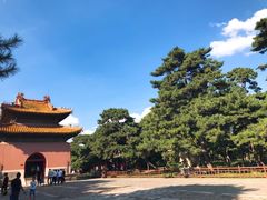 -北陵公园