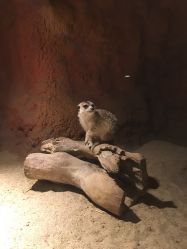 -酷嗒动物文化乐园(cutezoo西溪乐天城店)