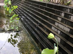 -九华山聚龙大酒店