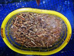 -欢乐海岸美食联盟