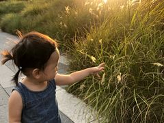 -星巴克(深圳前海企业公馆店)