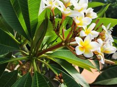 -杨小贤(五店市店)