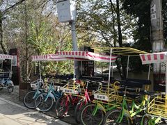 千万不要租自行车，坑得要死，根本骑不动-三圣花乡旅游区