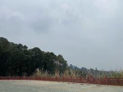 -老君山