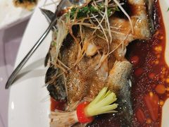 清蒸龙胆鱼-紫阳海鲜楼·传承闽味(长乐路总店)