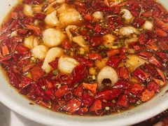 -孔雀云贵川·融合菜(长宁来福士店)