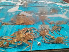 -艳阳天·非遗楚菜(武汉客厅店)