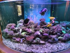 -碧中海汤泉汗蒸酒店