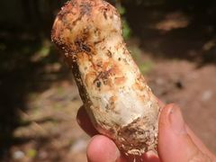-三锅莊·牦牛肉火锅·香格里拉特色藏餐宴请餐厅(昆明创始店)