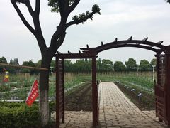 -上膳源有机农场