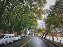 -上海佘山国家森林公园天马山园