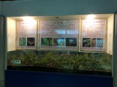 -上海昆虫博物馆