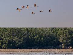 -南沙十九涌渔人码头-南门