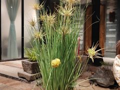 景观位-广东道至正餐厅(区庄店)