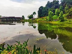 -铁山坪森林公园