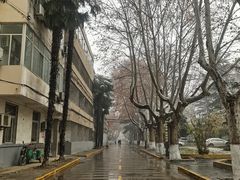 -西安交通大学(雁塔校区)
