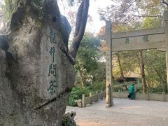 -龙井村