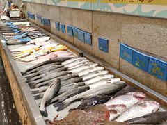 水产区-蓝港海鲜厨房(金水路店)