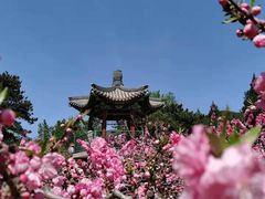 -国家植物园