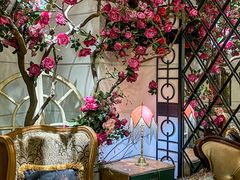 -秘密旅行Bonjour(黑金冠 江南西店)