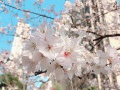 -永旺梦乐城(金银潭店)