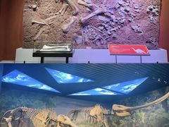 -宾果蒙特梭利托育儿童之家幼儿园(爱琴海店)