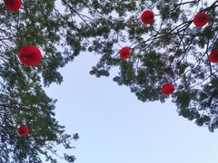 -荔香公园