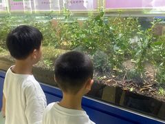 -上海昆虫博物馆