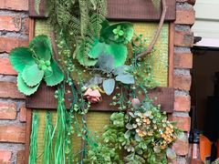 -柴犬高等学院·狗咖·柴犬售卖·宠物训练