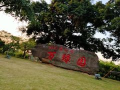 -万绿园