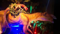 点击看大图 -恐龙探索乐园(磁器口店)