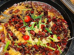 -老板恋上鱼(恒隆广场店)