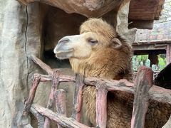 -长鹿旅游休博园